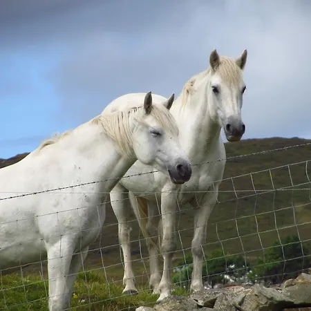 Hillside 4* Clifden